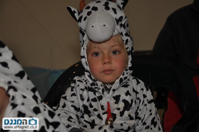 תמונה גדולה